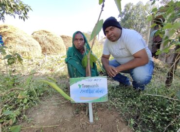 Tree Plantation Drive Story 63 – How Treewards aided Ramshila Kanwar