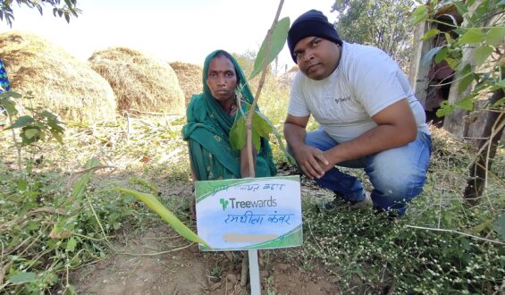 Tree Plantation Drive Story 63 – How Treewards aided Ramshila Kanwar