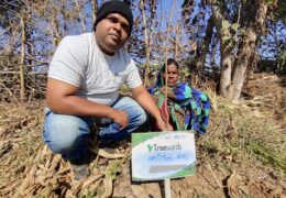 Tree Plantation Drive Story 64 – How Treewards aided Kaushila Kanwar