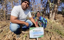 Tree Plantation Drive Story 64 – How Treewards aided Kaushila Kanwar