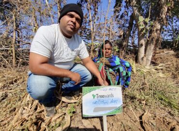 Tree Plantation Drive Story 64 – How Treewards aided Kaushila Kanwar