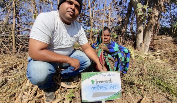 Tree Plantation Drive Story 64 – How Treewards aided Kaushila Kanwar
