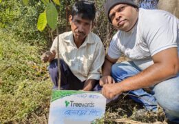 Tree Plantation Drive Story 65 – How Treewards aided Balwaan Singh