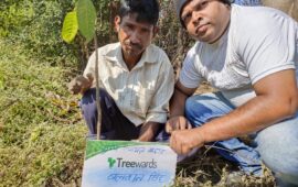 Tree Plantation Drive Story 65 – How Treewards aided Balwaan Singh