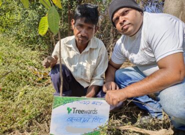 Tree Plantation Drive Story 65 – How Treewards aided Balwaan Singh