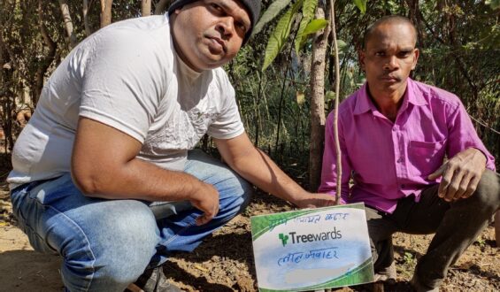 Tree Plantation Drive Story 66 – How Treewards helped Lal Jawahar