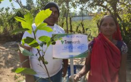 Tree Plantation Drive Story 71 – How Treewards helped Pramila Bai
