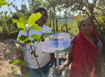 Tree Plantation Drive Story 71 – How Treewards helped Pramila Bai