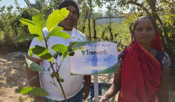 Tree Plantation Drive Story 71 – How Treewards helped Pramila Bai