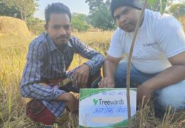 Tree Plantation Drive Story 72 – How Treewards aided Ashok Kanwar