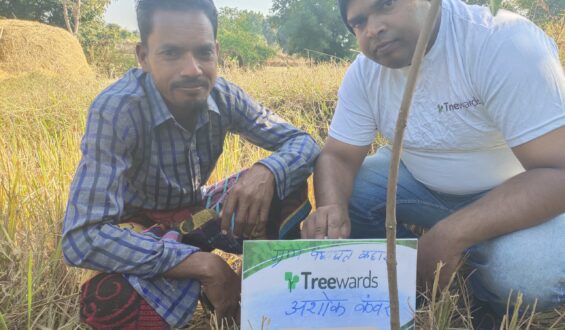 Tree Plantation Drive Story 72 – How Treewards aided Ashok Kanwar