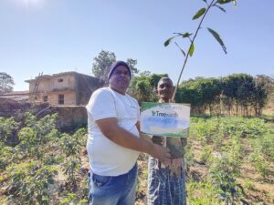 Tree Plantation Drive