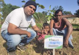 Tree Plantation Drive Story 74 – How Treewards contributed Kitaab Singh