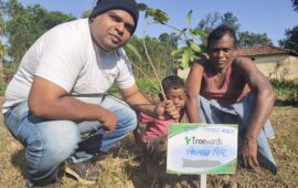 Tree Plantation Drive Story 74 – How Treewards contributed Kitaab Singh