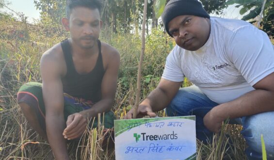 Tree Plantation Drive Story 73 – How Treewards helped Bharat Singh Kanwar