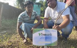 Tree Plantation Drive Story 75 – How Treewards helped Nand Kumar