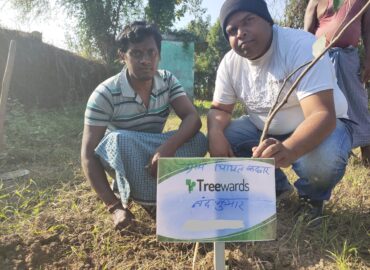 Tree Plantation Drive Story 75 – How Treewards helped Nand Kumar