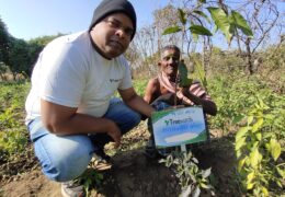 Tree Plantation Drive Story 76 – How Treewards aided Shyam Nath Kanwar