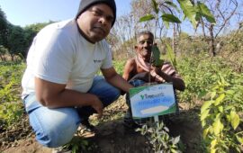 Tree Plantation Drive Story 76 – How Treewards aided Shyam Nath Kanwar