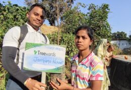Tree Plantation Drive Story 79 – How Treewards aided Jamuna Kaiwart