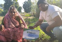 Tree Plantation Drive Story 80 – How Treewards helped Urmila Bai