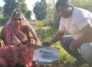 Tree Plantation Drive Story 80 – How Treewards helped Urmila Bai