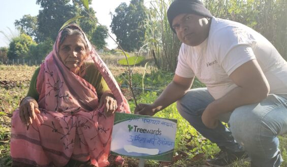 Tree Plantation Drive Story 80 – How Treewards helped Urmila Bai