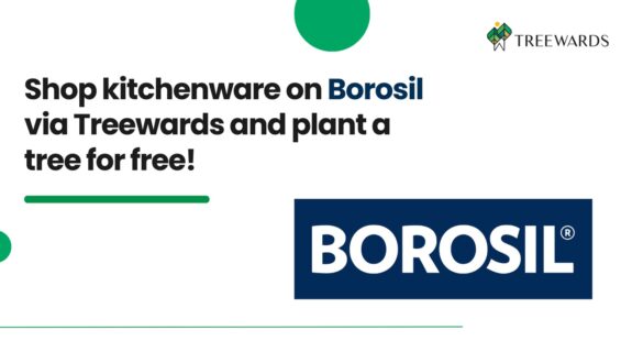 Shop kitchenware on Borosil via Treewards and plant a tree for free!