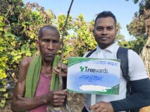 Tree Plantation Drive