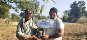 Tree Plantation Drive