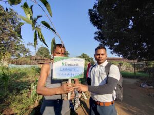 Tree Plantation Drive