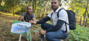 Tree Plantation Drive