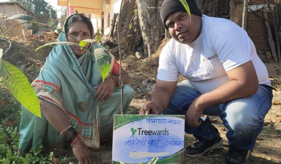 Tree Plantation Drive Story 81 – How Treewards aided Triveni Bai Dewangan