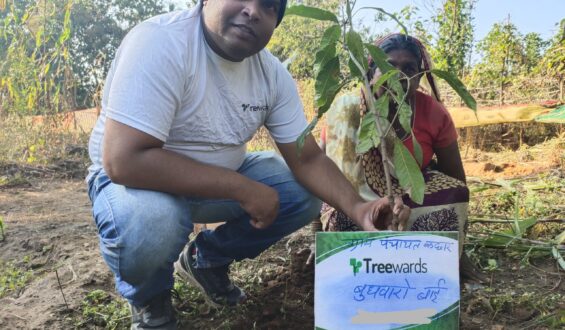 Tree Plantation Drive Story 82 – How Treewards helped Budhwaro Bai