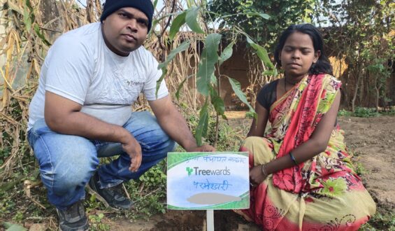 Tree Plantation Drive Story 83 – How Treewards contributed Parmeshwari