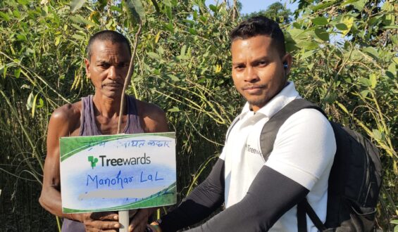 Tree Plantation Drive Story 86 – How Treewards helped Manohar Lal