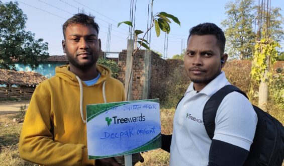 Tree Plantation Drive Story 89 – How Treewards aided Deepak Mahant