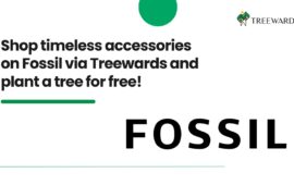 Shop timeless accessories on Fossil via Treewards and plant a tree for free