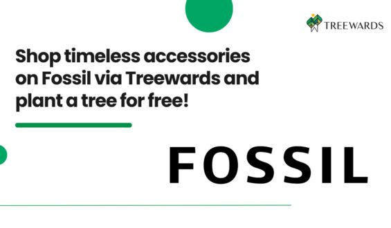 Shop timeless accessories on Fossil via Treewards and plant a tree for free