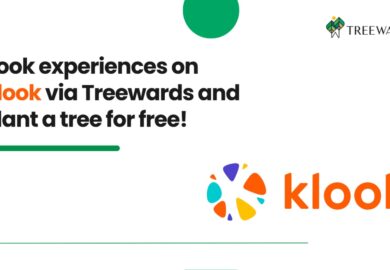 Book experiences on Klook via Treewards and plant a tree for free