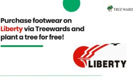 Shop Trendy Fashion on Mufti via Treewards and Plant a Tree for Free!