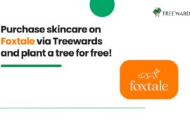 Purchase Skincare on Foxtale via Treewards and Plant a Tree for Free