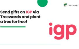 Send gifts on IGP via Treewards and plant a tree for free!