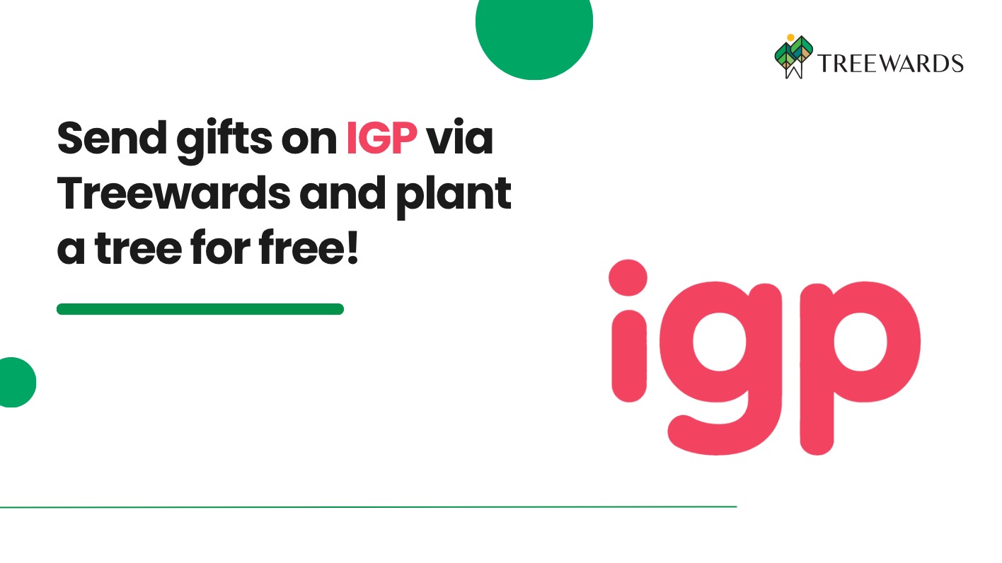 Send gifts on IGP via Treewards and plant a tree for free!