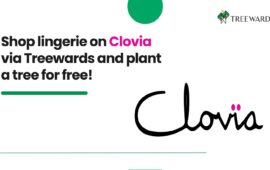 Shop lingerie on Clovia via Treewards and plant a tree for free