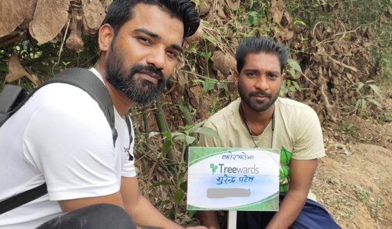 Tree Plantation Drive Story 100 – How Treewards helped Surendra Patel