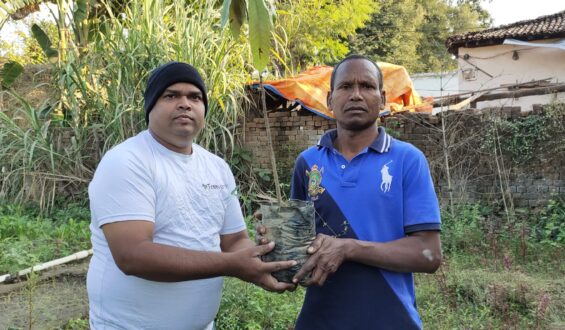 Tree Plantation Drive Story 90 – How Treewards aided Dashraj Singh Kanwar