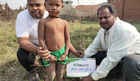 Tree Plantation Drive Story 91 – How Treewards aided Bhaiya Ram Biyaar