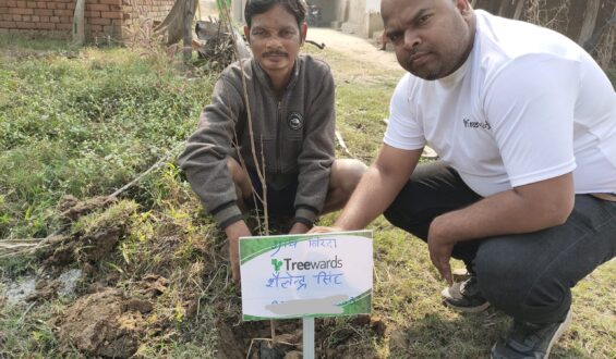 Tree Plantation Drive Story 93 – How Treewards aided Shailendra Singh