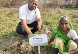 Tree Plantation Drive Story 94 – How Treewards helped Chanda Bai